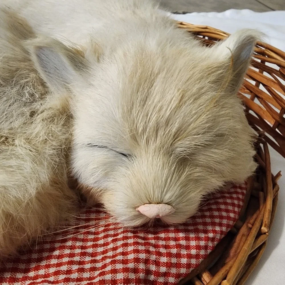 Realistic White Sleeping Cat in Basket Figurine Soft Real Feel Fur. SEE PHOTOS‎